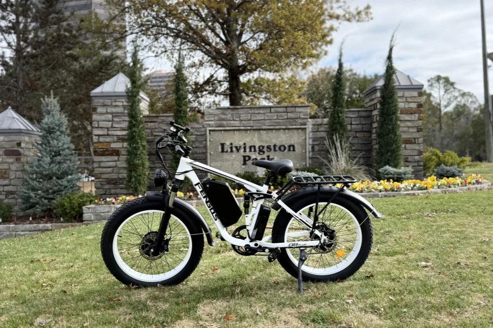 Bike Electric Explained: Types of Electric Bikes and How to Choose the Right One